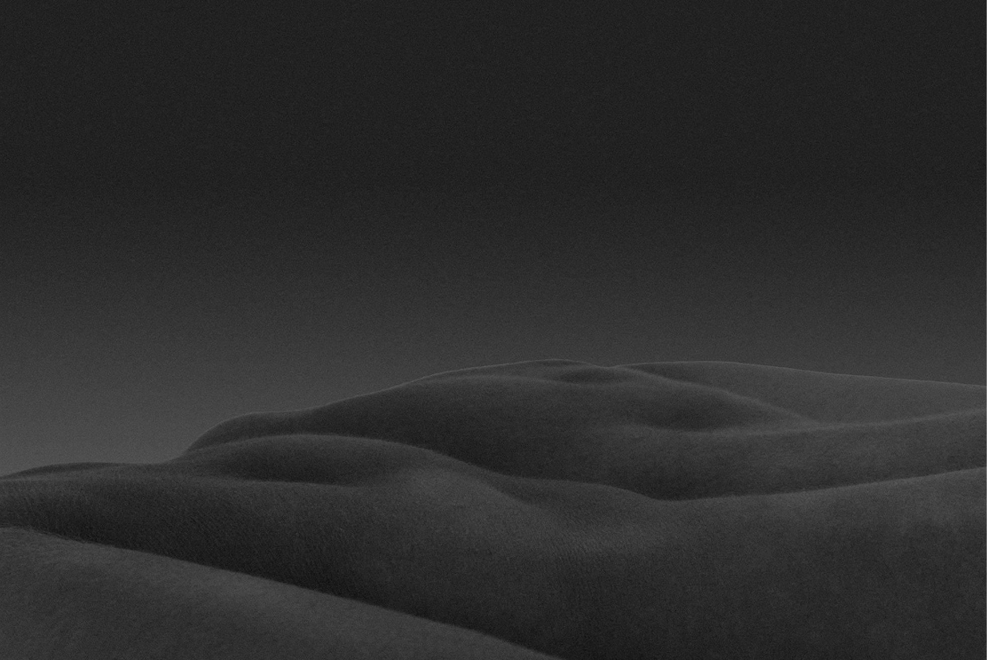 Dune 7